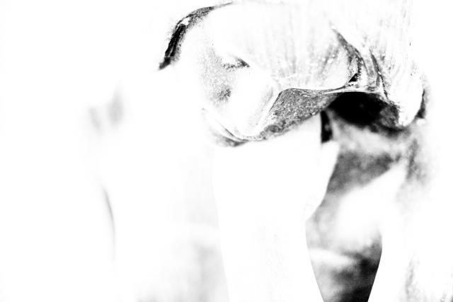 Memories (15)